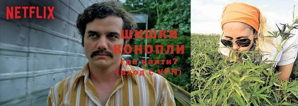 Альфа ПВП Фурманов