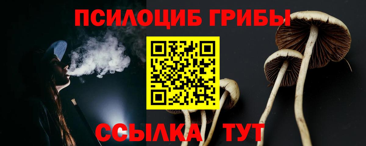 Елец  Галлюциногенные грибы мицелий  Вход с VPN 